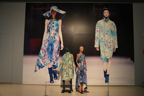 山東籍藝術家陳聞新展亮相山東美術館 讓普羅旺斯與常山濰水在畫筆下 服飾中相逢