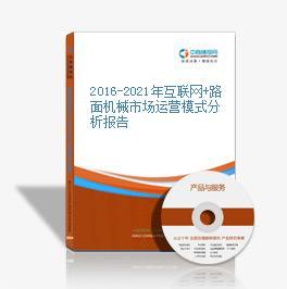 2015-2020年互聯(lián)網(wǎng)+路面機(jī)械市場(chǎng)運(yùn)營模式研究咨詢